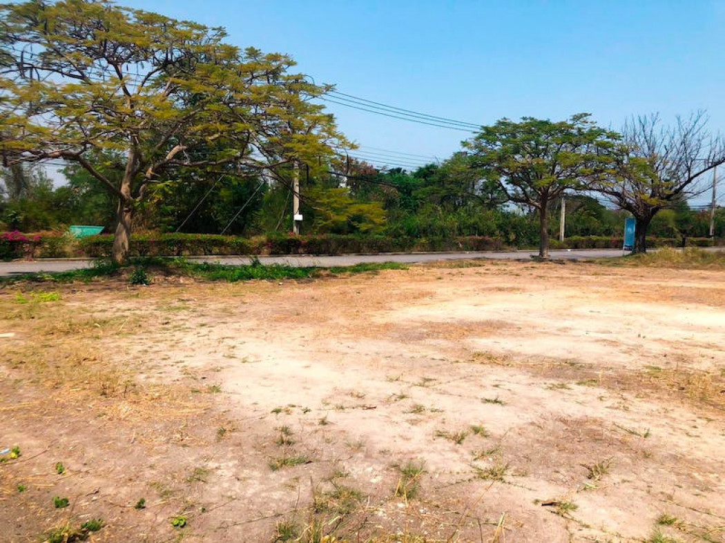 ขาย ที่ดิน ขายที่ดินติดถนนหลักในสนามกอล์ฟ อ.ชะอำ เนื้อที่ 581 ตร.วา รูปที่ 5