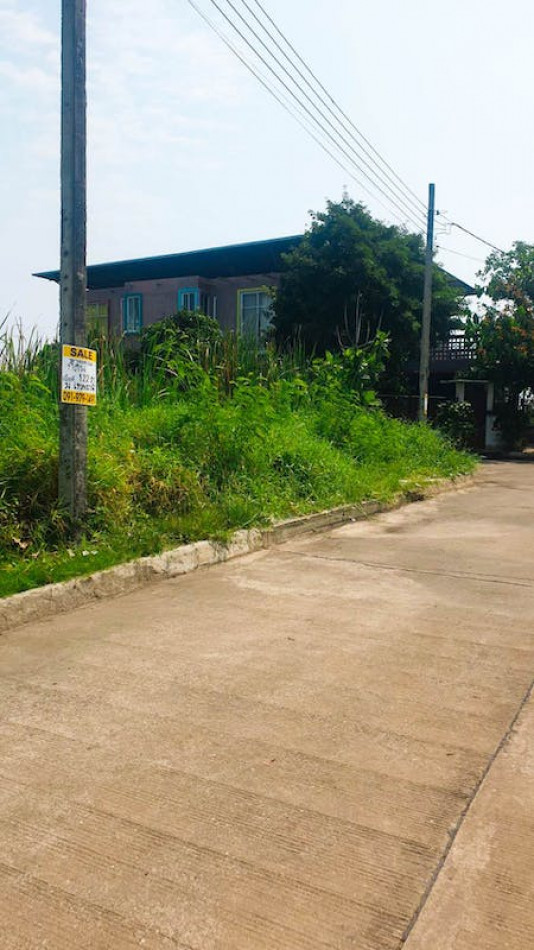 ขาย ที่ดิน ขายที่ดินหมู่บ้านเทพธานีแถวเฉลิมพระเกียรติ ร.9 ซ.62 เนื้อที่  122 ตร.วา รูปที่ 6