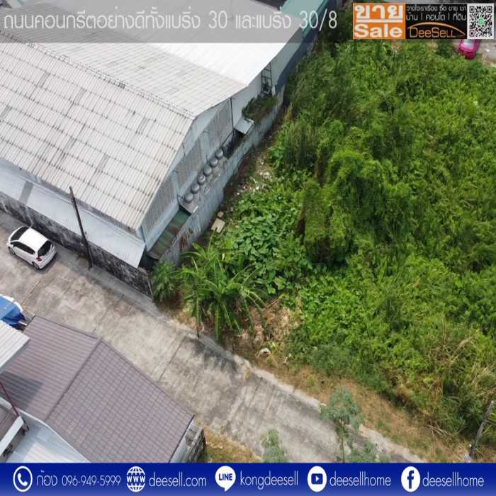 ขายที่ดินซอยแบริ่ง 30 ถนนสุขุมวิท 107 ติดซอยถนนคอนกรีต 2 ด้าน รูปที่ 4