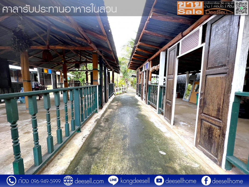 ขายบ้านเดี่ยว ใหญ่ที่สุดในอำเภอหนองหงส์ บุรีรัมย์ ติดเทศบาลหนองหงส์ 1 ไร่ 2 งาน 30 ตร.วา รูปที่ 11