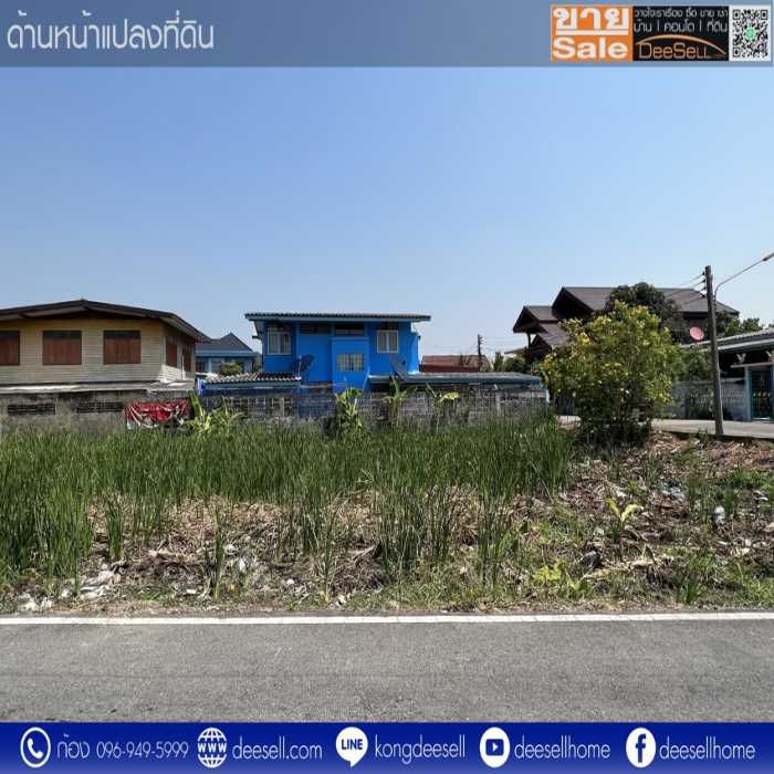 ขายที่ดินแปลงสวย ติดถนน 3 ด้าน ซอยสมประสงค์ 7 บางปรอก ปทุมธานี รูปที่ 4