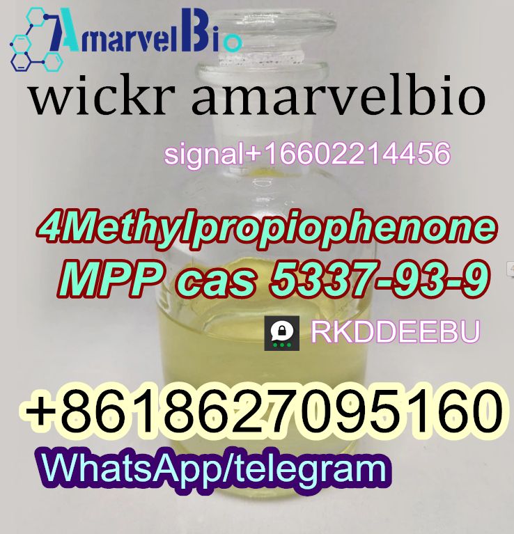 4-Methylpropiophenone in High-Quality C11h16n2 CAS 5337-93-9 WhatsApp+8618627095160 รูปที่ 1