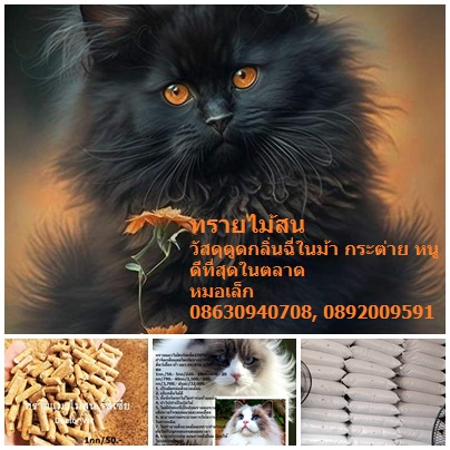 *อัลฟัลฟ่า ทิโมธี หญ้าอาหารสัตว์คุณภาพ   รูปที่ 2