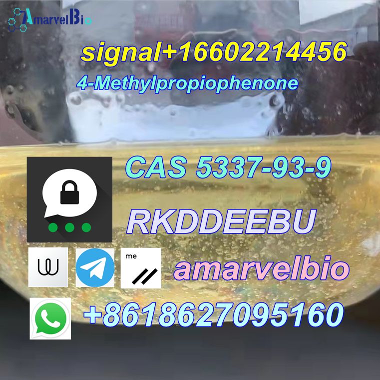 4-Methylpropiophenone in High-Quality C11h16n2 CAS 5337-93-9 WhatsApp+8618627095160 รูปที่ 5