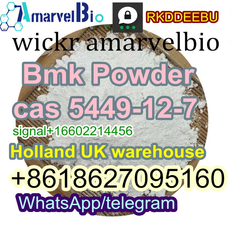  Bmk powder BMK Glycidic Acid (sodium salt) CAS 5449-12-7 Factory Price  รูปที่ 1