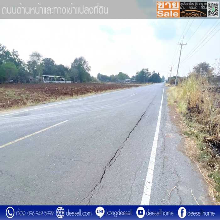 ขายที่ดิน พระพุทธบาท สระบุรี ติดถนน ถมแล้ว รูปแปลงสวย 10-3-50 ไร่ ใกล้อบต.พุคำจาน รูปที่ 5