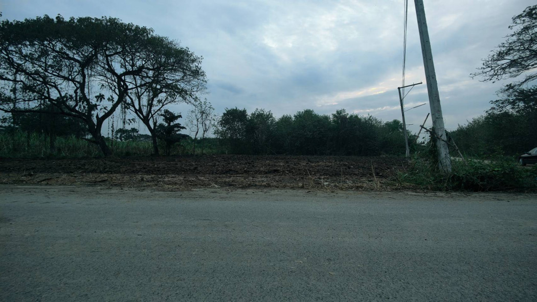 ขาย ที่ดิน คลอง4 ถมแล้ว  เนื้อที่ 2 งาน 68 ตร.วา ติดถนนมอเตอร์เวย์ รูปที่ 3