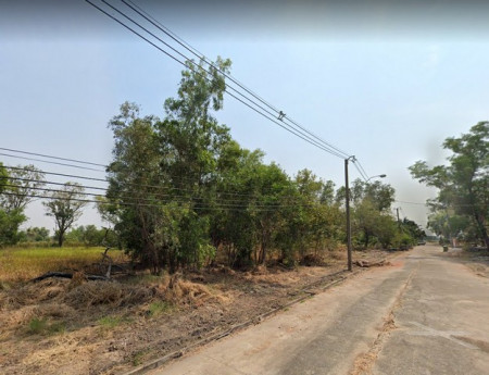 ขายที่ดินหนองจอก 1 ไร่ ติดถ.คอนกรีต ใกล้ถ.เส้นสุวินทวงศ์(304) - 2 กม. กรุงเทพฯ รูปที่ 5