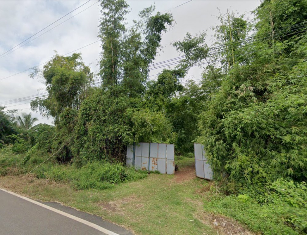 ขายที่ดินบางเตย 2 ไร่ ติดแม่น้ำปราจีน(แม่น้ำบางปะกง) 2 ด้าน ติดถนนลาดยาง ใกล้วัดบางเตย 800 เมตร อ.บ้านสร้าง จ.ปราจีนบุรี รูปที่ 2