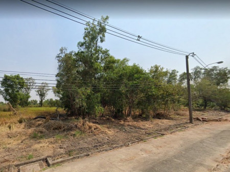 ขายที่ดินหนองจอก 1 ไร่ ติดถ.คอนกรีต ใกล้ถ.เส้นสุวินทวงศ์(304) - 2 กม. กรุงเทพฯ รูปที่ 6