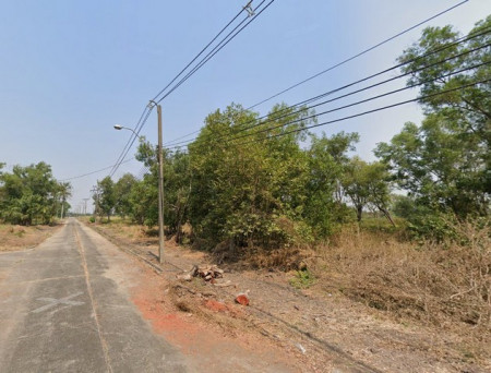 ขายที่ดินหนองจอก 1 ไร่ ติดถ.คอนกรีต ใกล้ถ.เส้นสุวินทวงศ์(304) - 2 กม. กรุงเทพฯ รูปที่ 3