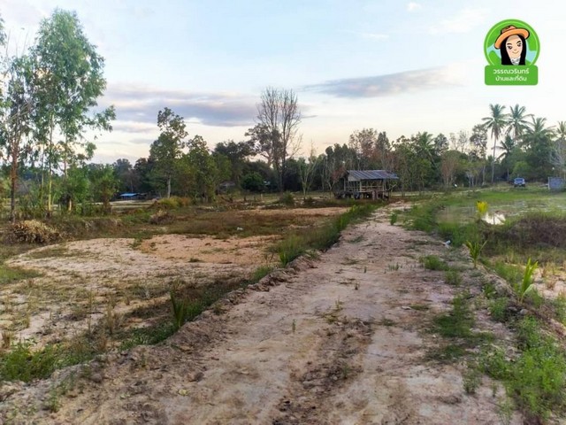 ขายที่ดิน เหมาะทำสวนเกษตร กุดลาด ในเมืองอุบลราชธานี ติดถนนสาธารณะ มีน้ำมีไฟเข้าถึง เดินทางสะดวก ใกล้แหล่งชุมชน รูปที่ 1