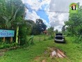 ขายบ้านสวนพิบูลฯ ใกล้แม่น้ำมูล เนื้อที่เกือบไร่ ในอุบลราชธานี แหล่งชุมชน เดินทางสะดวก เหมาะสำหรับทำบ้านสวน