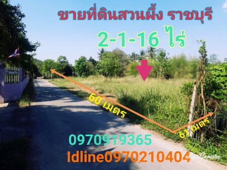 ขาย ที่ดิน ใกล้ รพ.สวนผึ้ง 2 ไร่ 1 งาน 16 ตร.วา จ.ราชบุรี รูปที่ 1