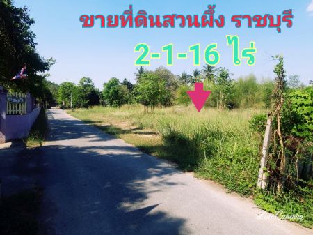ขาย ที่ดิน ใกล้ รพ.สวนผึ้ง 2 ไร่ 1 งาน 16 ตร.วา จ.ราชบุรี รูปที่ 2