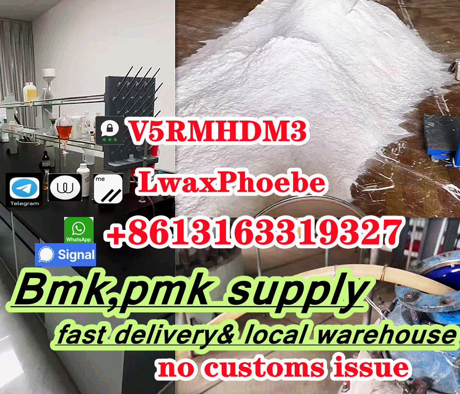 High Purity 99% Bmk powder,Bmk glycidate 5449-12-7 in Germany รูปที่ 4