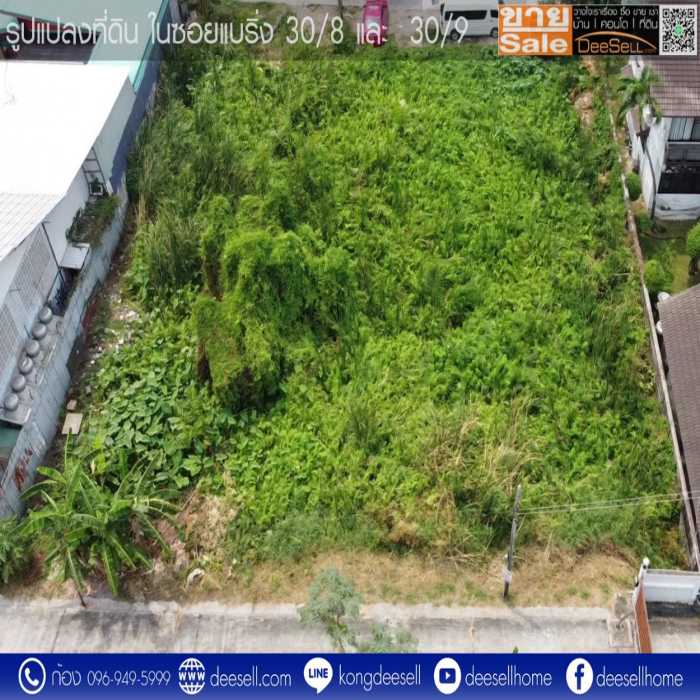 ขายที่ดินซอยแบริ่ง 30 ถนนสุขุมวิท 107 ติดซอยถนนคอนกรีต 2 ด้าน รูปที่ 7