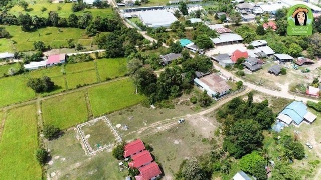 ขายที่ดินแปลงสวย 2 แปลง ขามใหญ่ ในเมืองอุบลราชธานี บรรยากาศดี เดินทางสะดวกใกล้แหล่งชุมชน รูปที่ 1