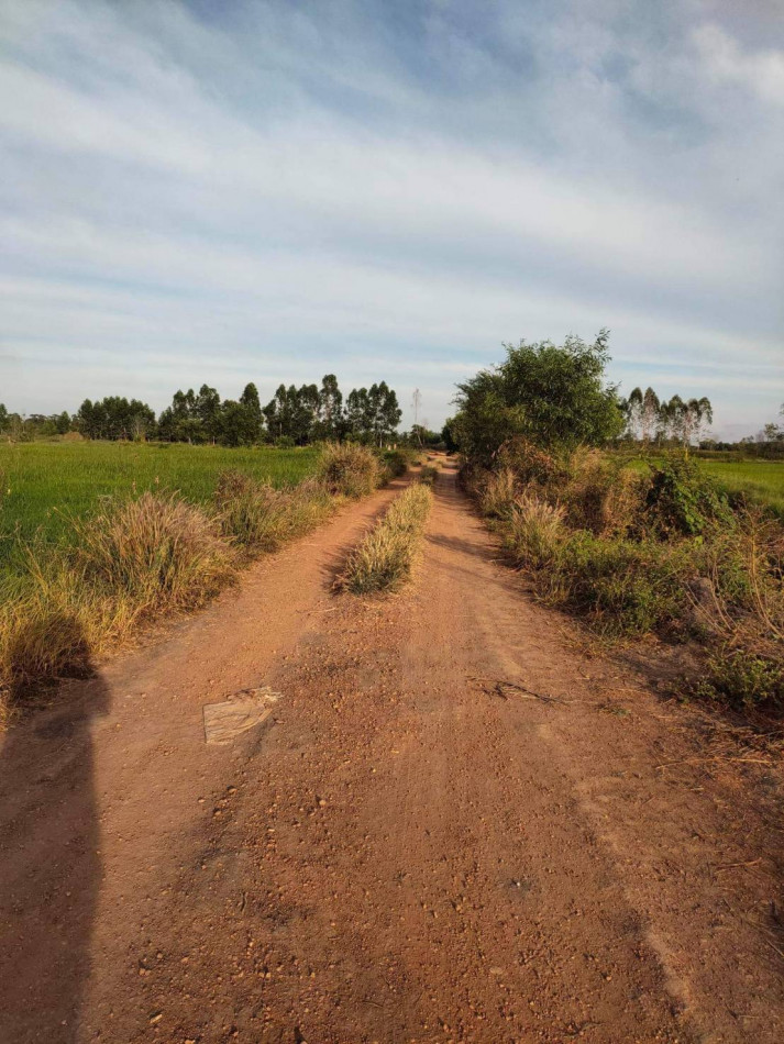 ขายที่นาหนองยาว 15 ไร่ ราคาถูกๆ ใกล้ถนนเส้น 3002 - 4.2 กม. อ.พนมสารคาม จ.ฉะเชิงเทรา รูปที่ 2
