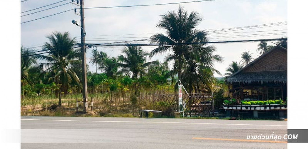 ขาย ที่ดิน ขายที่ดิน ติดถนนหมายเลข 3241 ศรีราชา ชลบุรี  41 ไร่ 1 งาน 87 ตร.วา รูปที่ 3