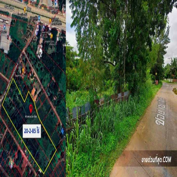 ขาย ที่ดิน ขายที่ดิน ใกล้ถนนมะลิวัลย์ อ.เมืองขอนแก่น เนื้อที่ 20 ไร่ 2 งาน 85 ตร.ว. 20 ไร่ 2 งาน 85 ตร.วา รูปที่ 2