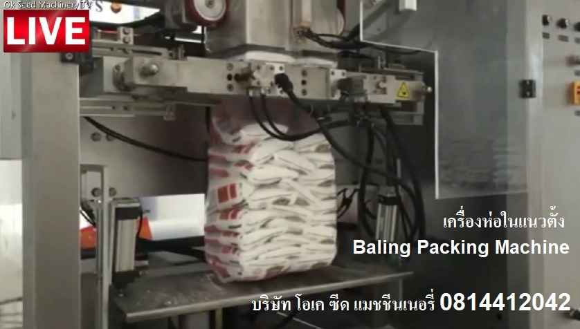 ขายเครื่องบรรจุถุงเล็กในถุงใหญ่ เครื่องห่อในแนวตั้ง 0814412042 Baling Packing Machine รูปที่ 1