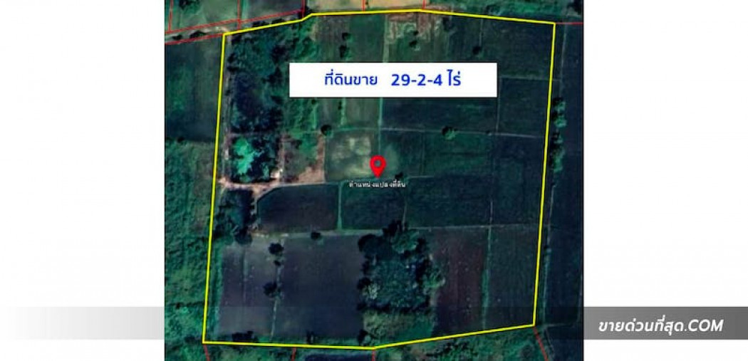 ขาย ที่ดิน ขายที่ดินใกล้ ถ.มิตรภาพ อ.เมืองขอนแก่น เนื้อที่ 29 ไร่ 2 งาน 4 ตร.ว. 29 ไร่ 2 งาน 4 ตร.วา รูปที่ 2