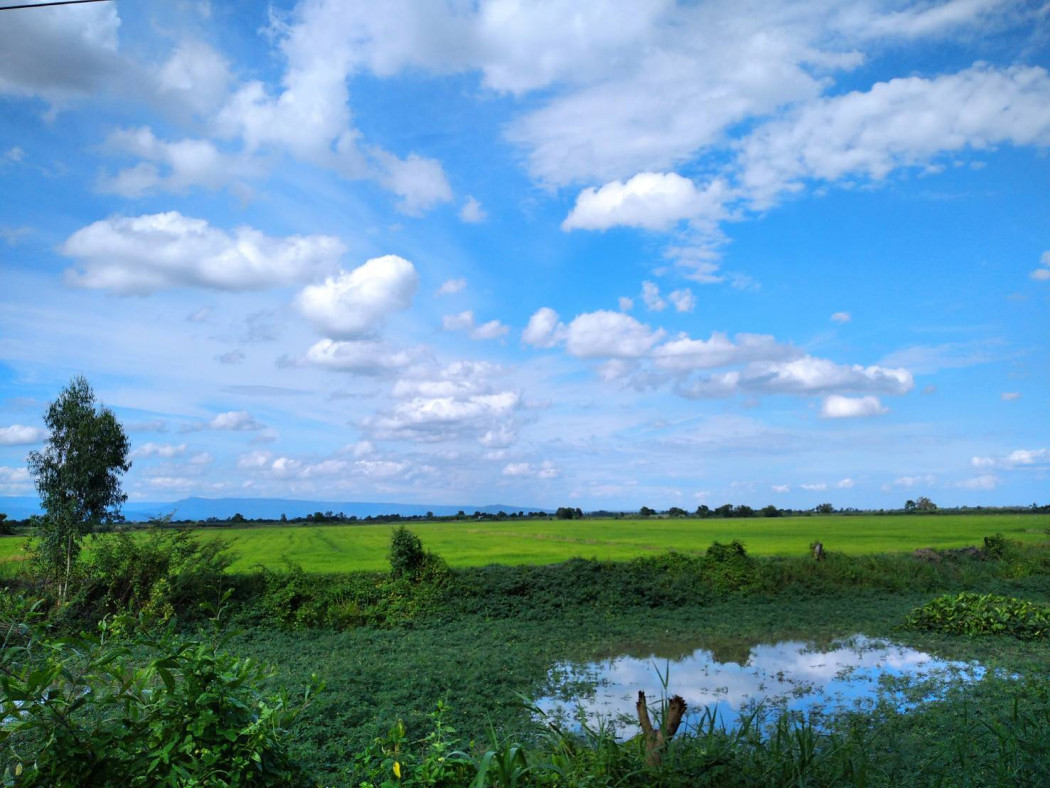 ที่ดิน จำนวน​ 108​ไร่​ ติดคลองชลประทาน ปากพลี​ นครนายก​ รูปที่ 1