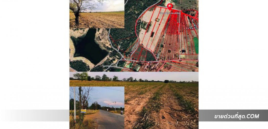 ขาย ที่ดิน ขายที่ดินใกล้ถนนมลิวรรณ  อ.บ้านฝาง จ.ขอนแก่น 17 ไร่ 3 งาน 1 ตร.วา รูปที่ 2