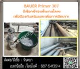 (จินT.0875413514 ) นำเข้า-จำหน่าย  BAUER Primer 307 อีพ็อกซี่รองพื้นงานโลหะ เพื่อป้องกันสนิม และเพิ่มการยึดเกาะของสารทับหน้า