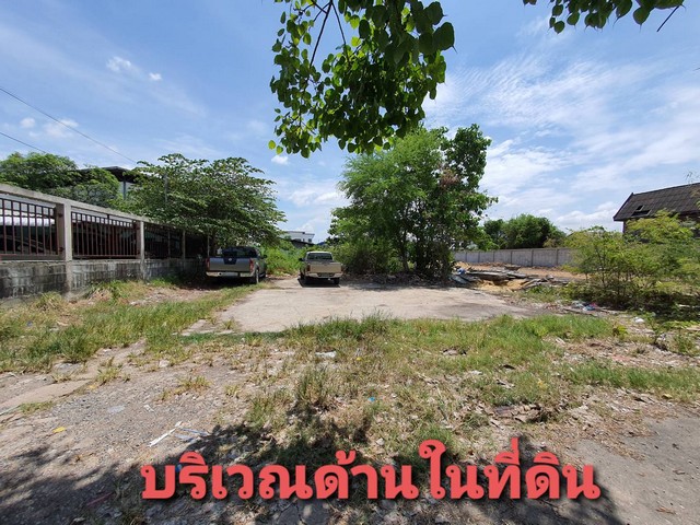 FOR SALE พื้นที่ดิน ที่ดินเปล่า สุขสวัสดิ์ 92 ในคลองบางปลากด พระสมุทรเจดีย์ สมุทรปราการ   4900000 THAI BAHT ไม่ไกลจาก ใกล้รพ.เปาโล พระประแดง พร้อมให้คุณเป็นเข้าจอง รูปที่ 1