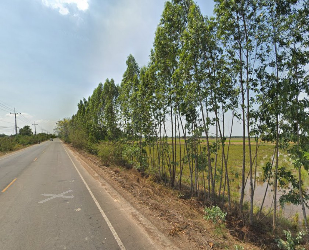 ขายที่ดินหนองแหน 3 ไร่ ติดถนนลาดยาง ใกล้อบต.หนองแหน 1.8 กม. อ.พนมสารคาม จ.ฉะเชิงเทรา รูปที่ 2