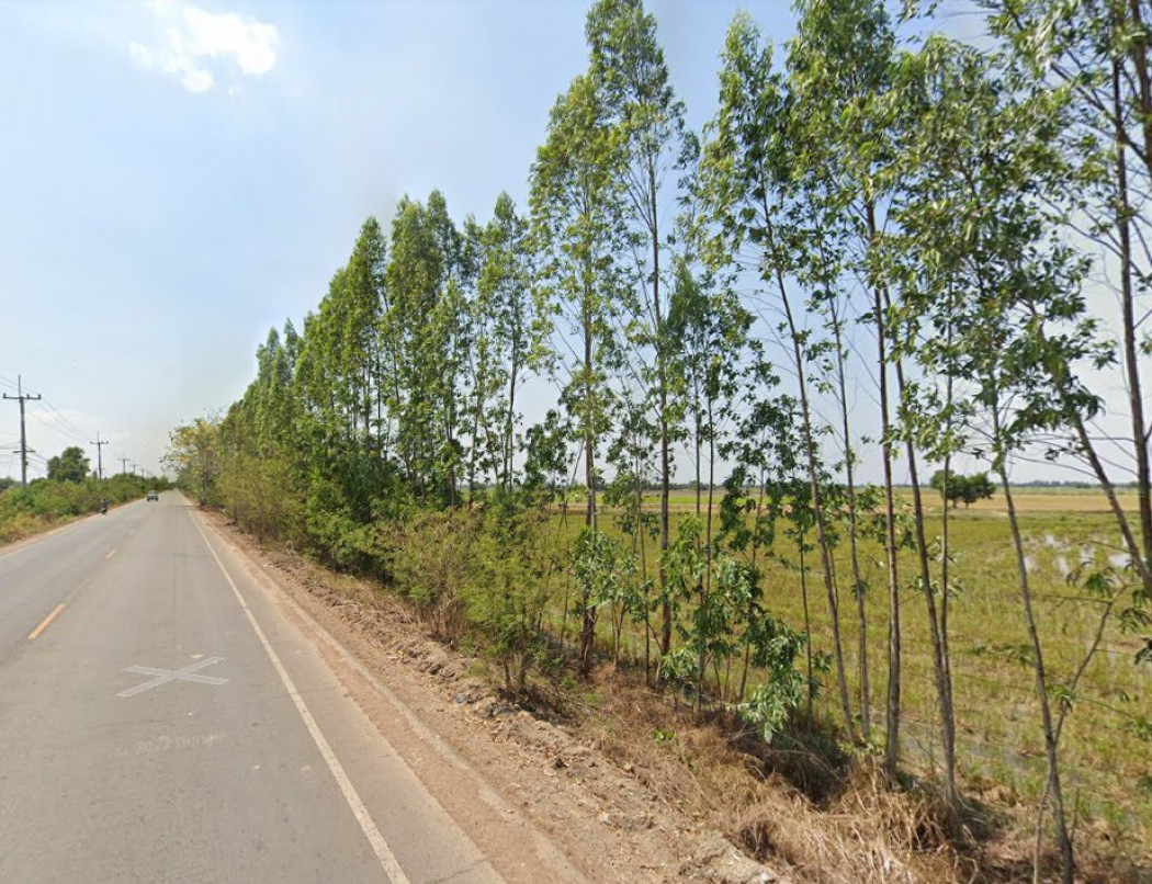 ขายที่ดินหนองแหน 3 ไร่ ติดถนนลาดยาง ใกล้อบต.หนองแหน 1.8 กม. อ.พนมสารคาม จ.ฉะเชิงเทรา รูปที่ 3