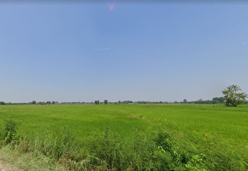 ขายที่ดินหัวสำโรง 34 ไร่ ติดถ.คอนกรีตซอยหนองมะขาม-เนินตะขบ หมู่ 9 ใกล้นิคมเกตเวย์ 8 กม. แปลงยาว ฉะเชิงเทรา รูปที่ 3