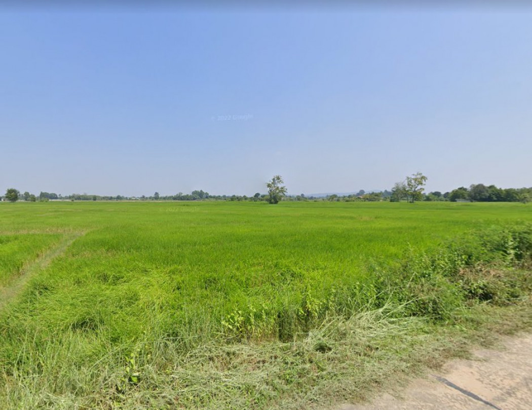 ขายที่ดินหัวสำโรง 34 ไร่ ติดถ.คอนกรีตซอยหนองมะขาม-เนินตะขบ หมู่ 9 ใกล้นิคมเกตเวย์ 8 กม. แปลงยาว ฉะเชิงเทรา รูปที่ 4