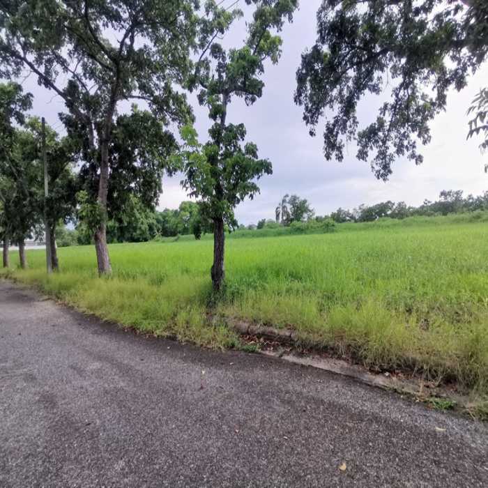 ขาย ที่ดิน ในสนามกอล์ฟ เลควูด Lakewood ซอย 16 ขนาด 1 ไร่ แปลงสวยสี่เหลี่ยม อยู่ในโครงการหรูมีระดับ เป็นส่วนตัว เหมาะสร้างบ้าน รูปที่ 11