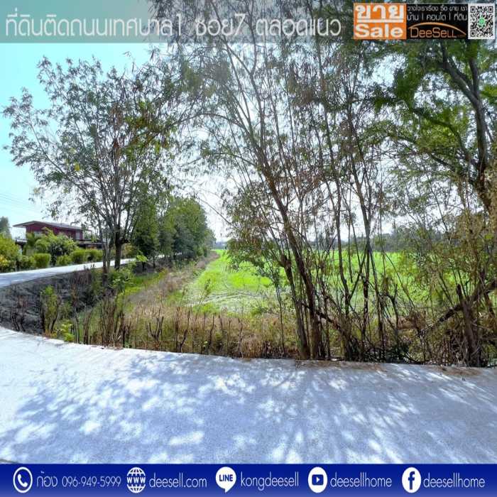 ขายที่ดินบางเลน นครปฐม แปลงมุม รูปแปลงสวย ถมแล้ว10 ไร่ ติดถนนเทศบาล 1 ซอย 7 รูปที่ 4