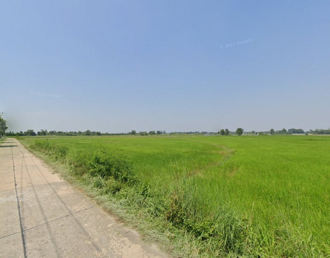ขายที่ดินหัวสำโรง 34 ไร่ ติดถ.คอนกรีตซอยหนองมะขาม-เนินตะขบ หมู่ 9 ใกล้นิคมเกตเวย์ 8 กม. แปลงยาว ฉะเชิงเทรา รูปที่ 7