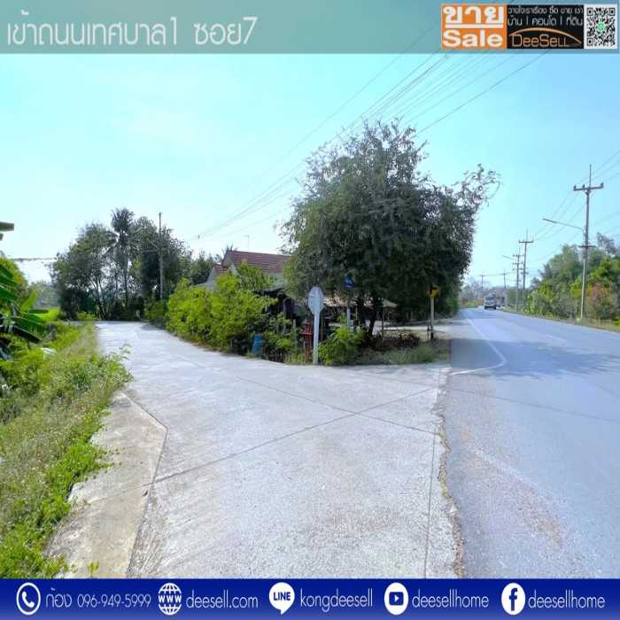 ขายที่ดินบางเลน นครปฐม แปลงมุม รูปแปลงสวย ถมแล้ว10 ไร่ ติดถนนเทศบาล 1 ซอย 7 รูปที่ 2