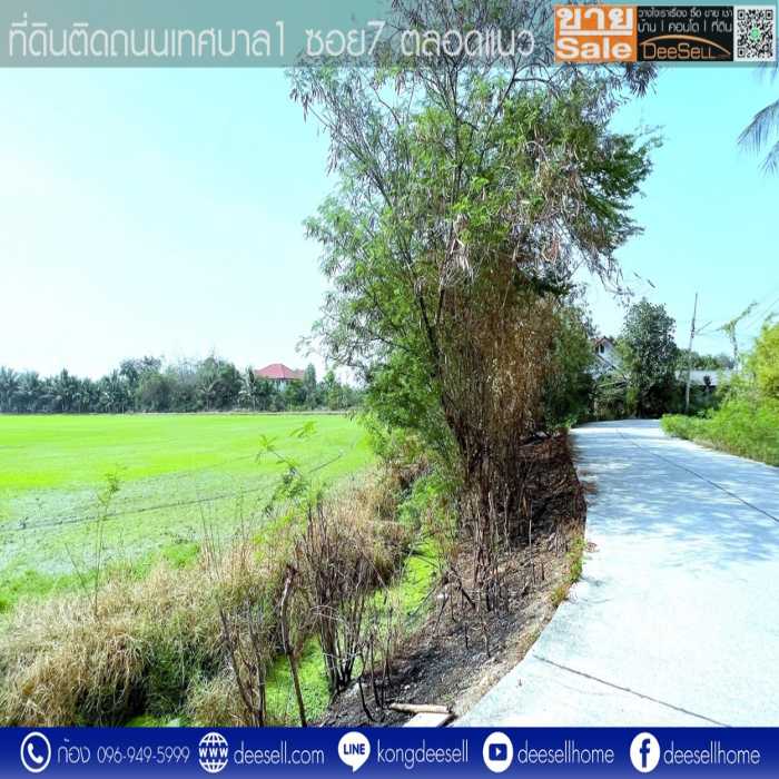 ขายที่ดินบางเลน นครปฐม แปลงมุม รูปแปลงสวย ถมแล้ว10 ไร่ ติดถนนเทศบาล 1 ซอย 7 รูปที่ 5