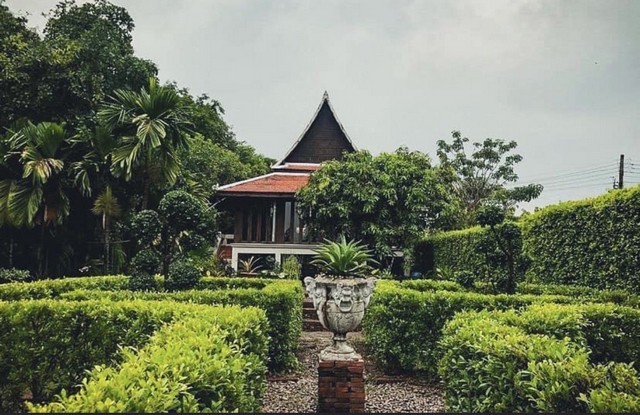 ขายด่วน เรือนไทย อำเภอนครชัยศรี จังหวัดนครปฐม เนื้อที่ 9 ไร่ รูปที่ 1