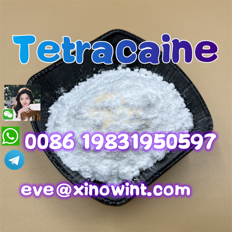 Tetracaine Powder CAS 94-24- รูปที่ 3
