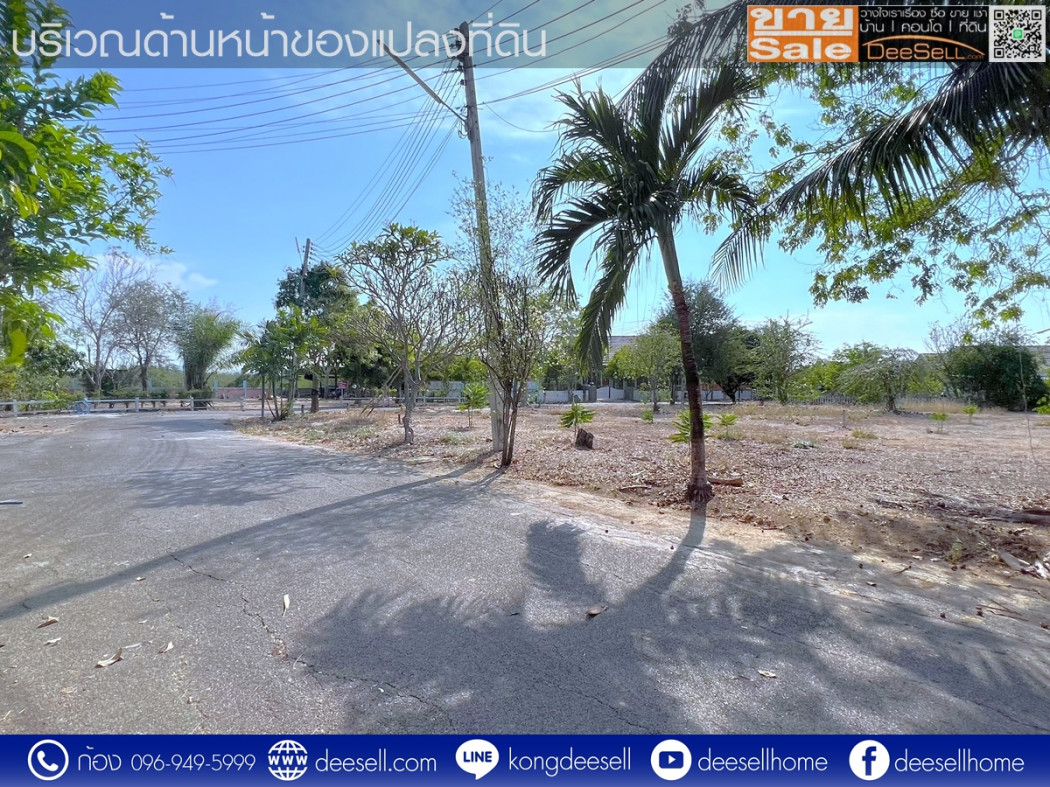 ขายบางชองมารีน่า ที่ดินท่ายาง เพชรบุรี แปลงมุม รูปแปลงสวย 120 ตร.ว.ราคาดีที่สุด รูปที่ 6