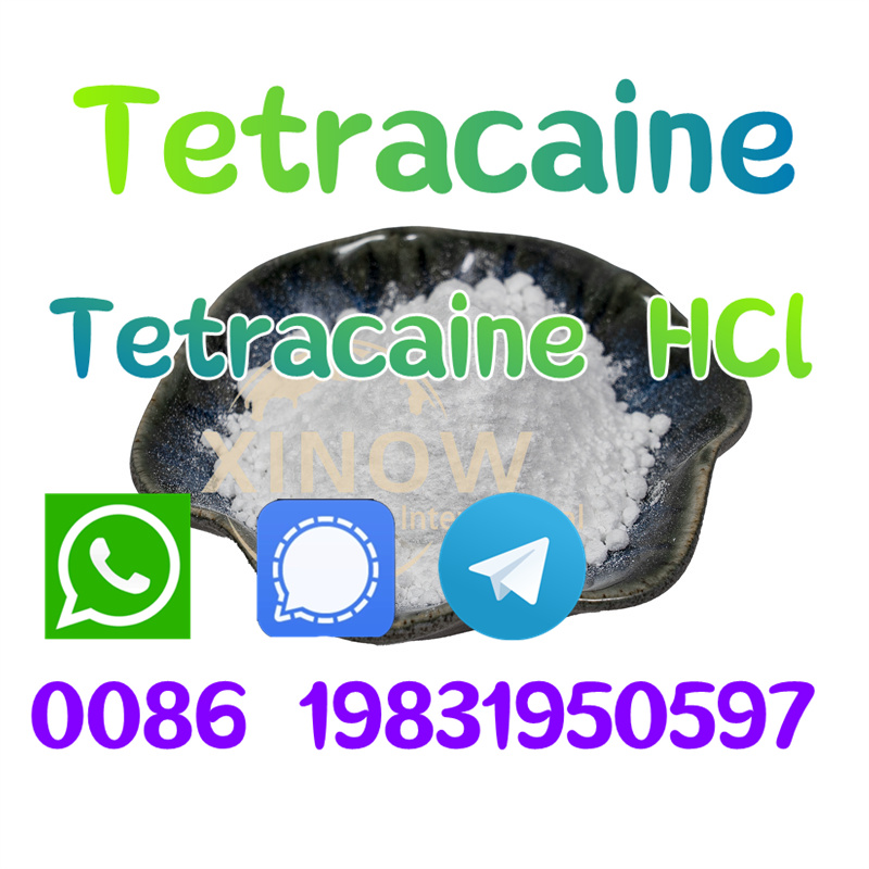  Hot sale tetracaine hcl powder CAS 136-47-0  รูปที่ 1