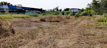 ขาย ที่ดิน ใกล้มอเตอร์เวย์คลองสี่ 1 ไร่ คลองหลวง ปทุมธานี รูปที่ 7