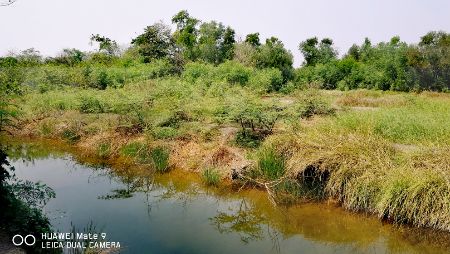 ขาย ที่ดิน ใกล้มอเตอร์เวย์คลองสี่ 1 ไร่ คลองหลวง ปทุมธานี รูปที่ 10