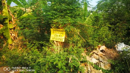 ขาย ที่ดิน ต่ำกว่าราคาประเมิน 234 ตร.วา หมู่บ้านวิโรจน์วิลล์ บางบัวทอง นนทบุรี รูปที่ 6