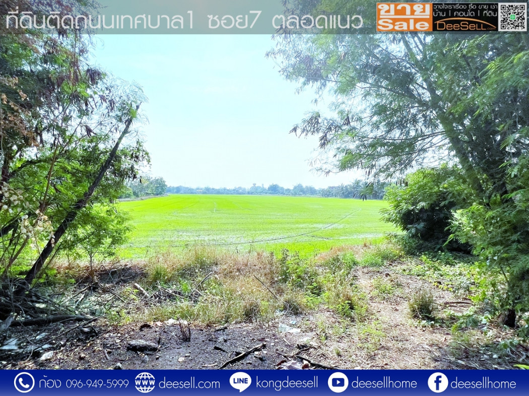 ขายที่ดินบางเลน นครปฐม แปลงมุม รูปแปลงสวย ถมแล้ว10 ไร่ ติดถนนเทศบาล 1 ซอย 7 รูปที่ 8