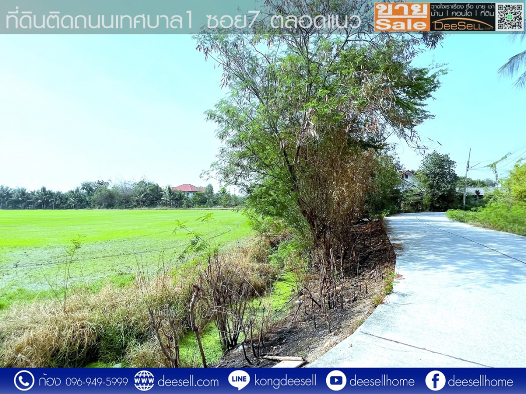 ขายที่ดินบางเลน นครปฐม แปลงมุม รูปแปลงสวย ถมแล้ว10 ไร่ ติดถนนเทศบาล 1 ซอย 7 รูปที่ 10