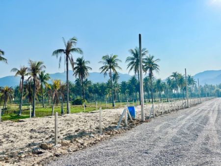 ขาย ที่ดิน โอนกรรมสิทธิ์ฟรีนัชชา แลนด์ 100 ตร.วา ทำเลพูลวิลล่า ใกล้หัวหิน รูปที่ 4